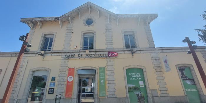 Gare de Montluel